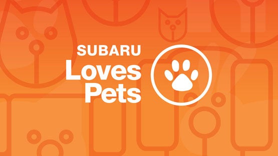 Tonkin Subaru in The Dalles OR