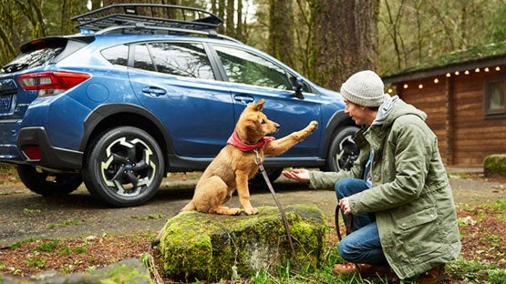Tonkin Subaru in The Dalles OR