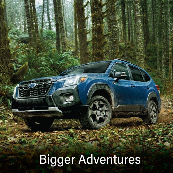 A blue Subaru outback wilderness with the words &ldquo;Bigger Adventures&ldquo;. | Tonkin Subaru in The Dalles OR